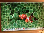 apple ma601ll